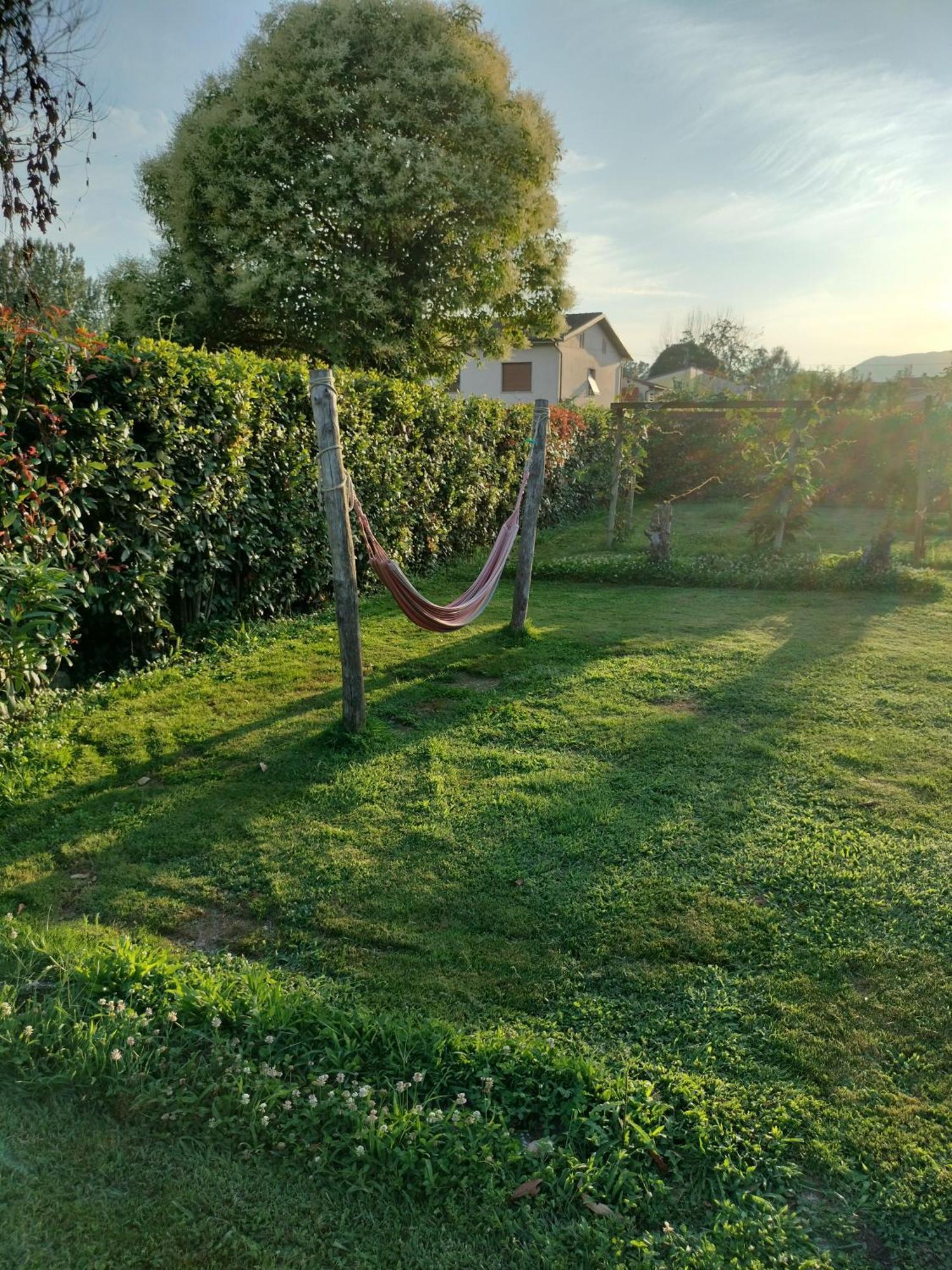 B&B La Rosa Nel Verde Lucca Buitenkant foto