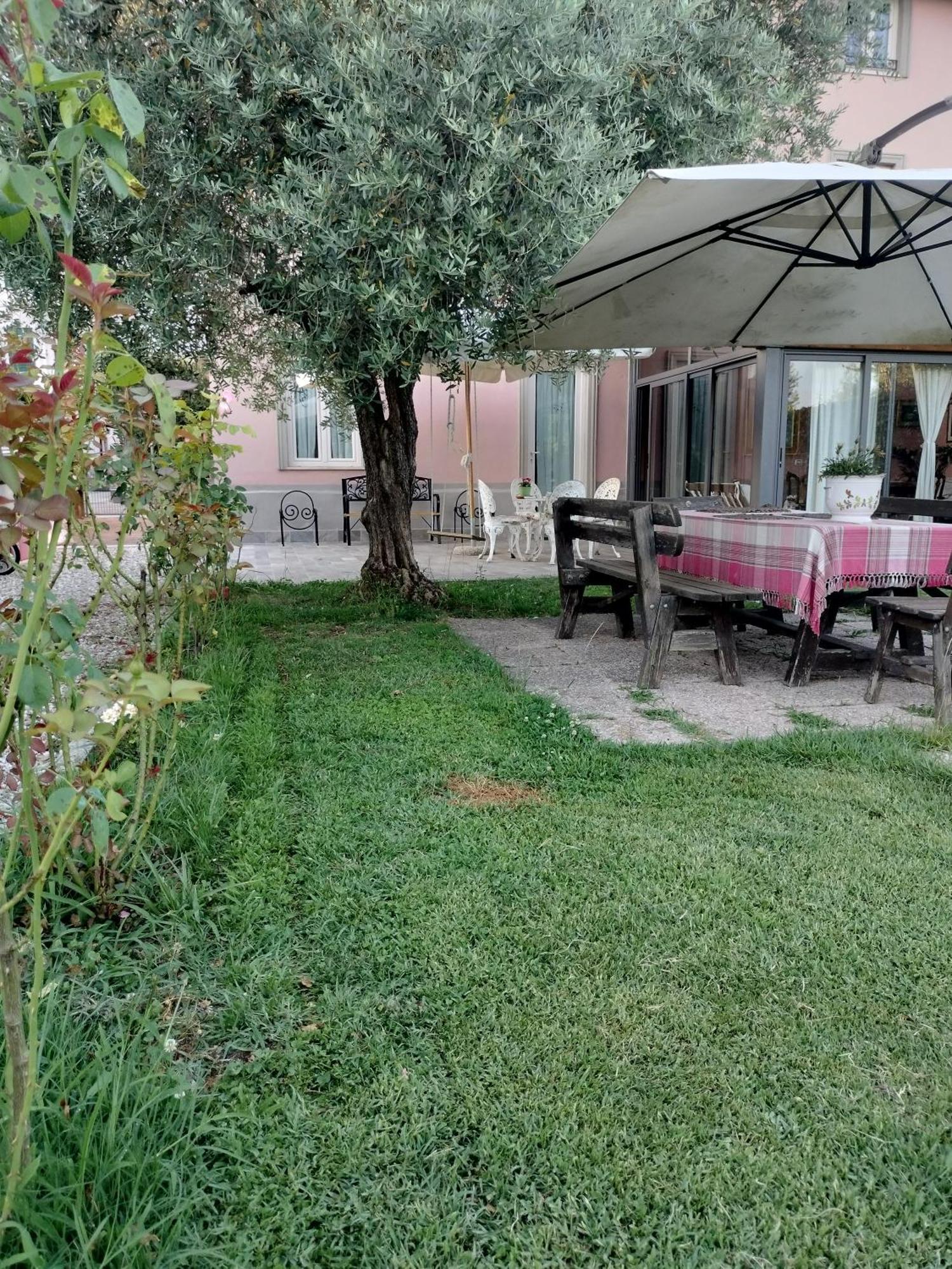 B&B La Rosa Nel Verde Lucca Buitenkant foto